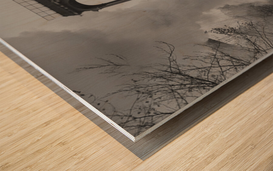 Steam Engine Wood print