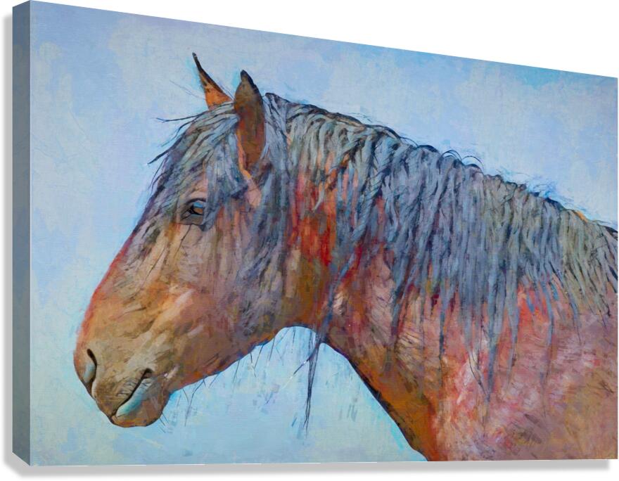 Mane Study Canvas Print