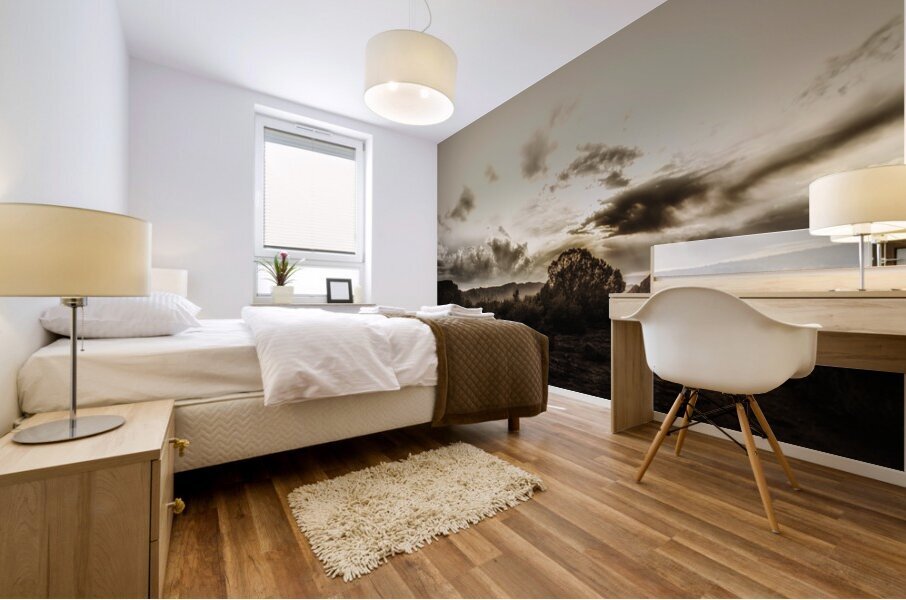 Silent Horizon Mural print