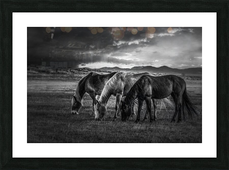 Preparing for the Storm Picture Frame print