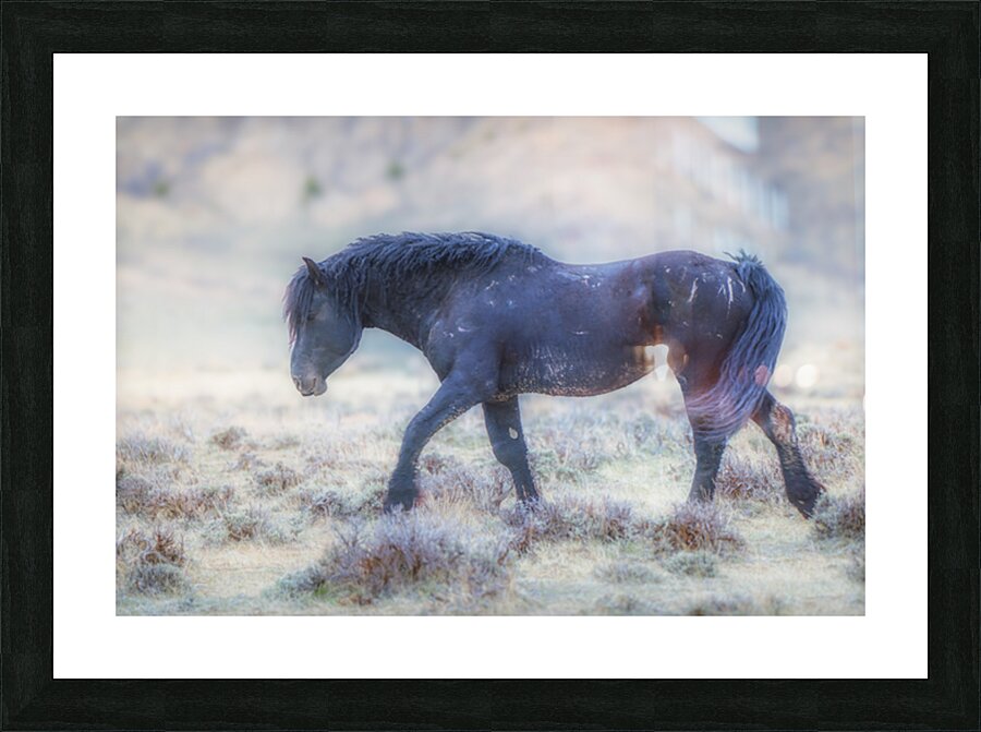 A Stroll Picture Frame print
