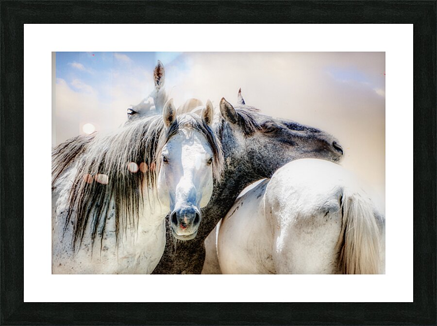Buddies Picture Frame print