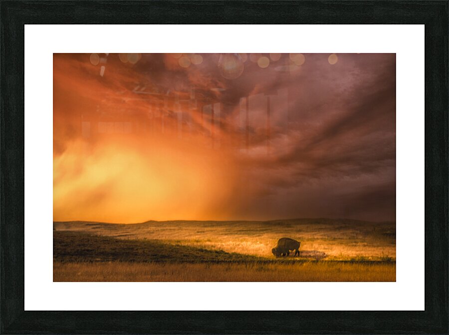 Big Sky Big Shadows Picture Frame print