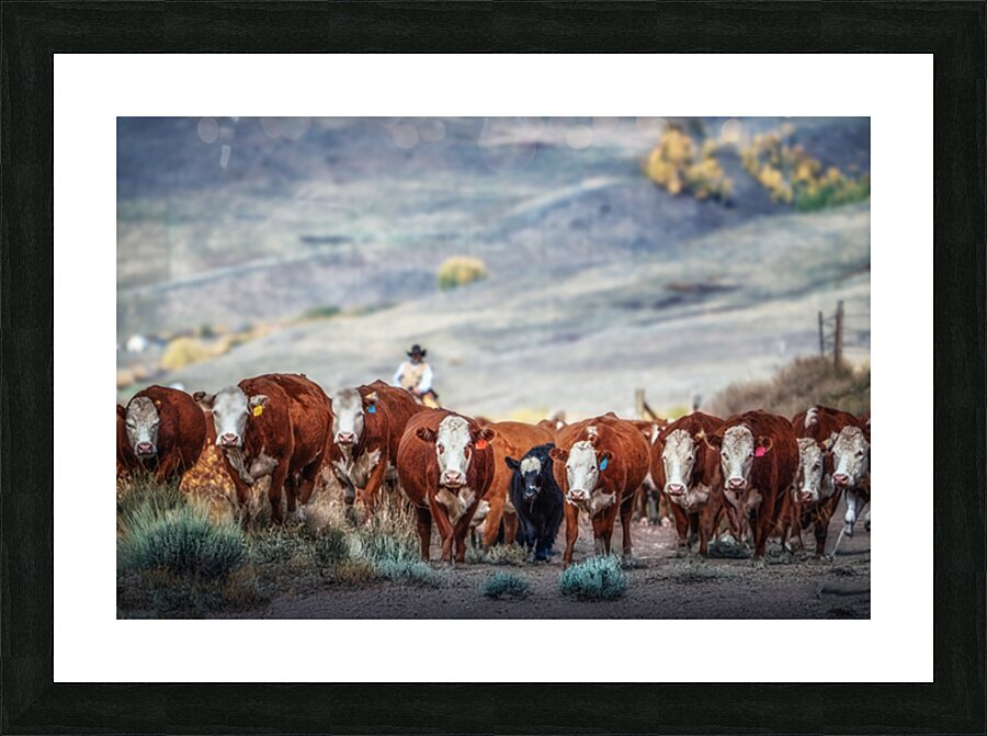 The Drive Picture Frame print
