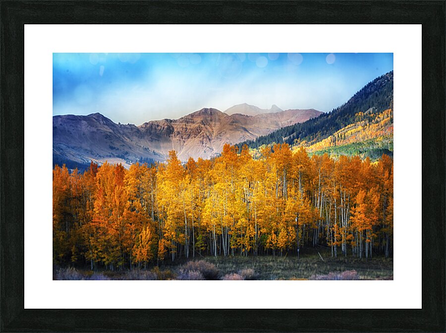 Quakies Picture Frame print