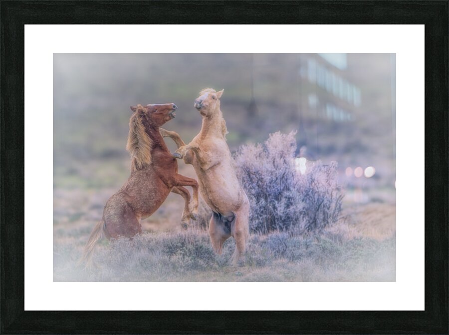 Boxing Match Picture Frame print