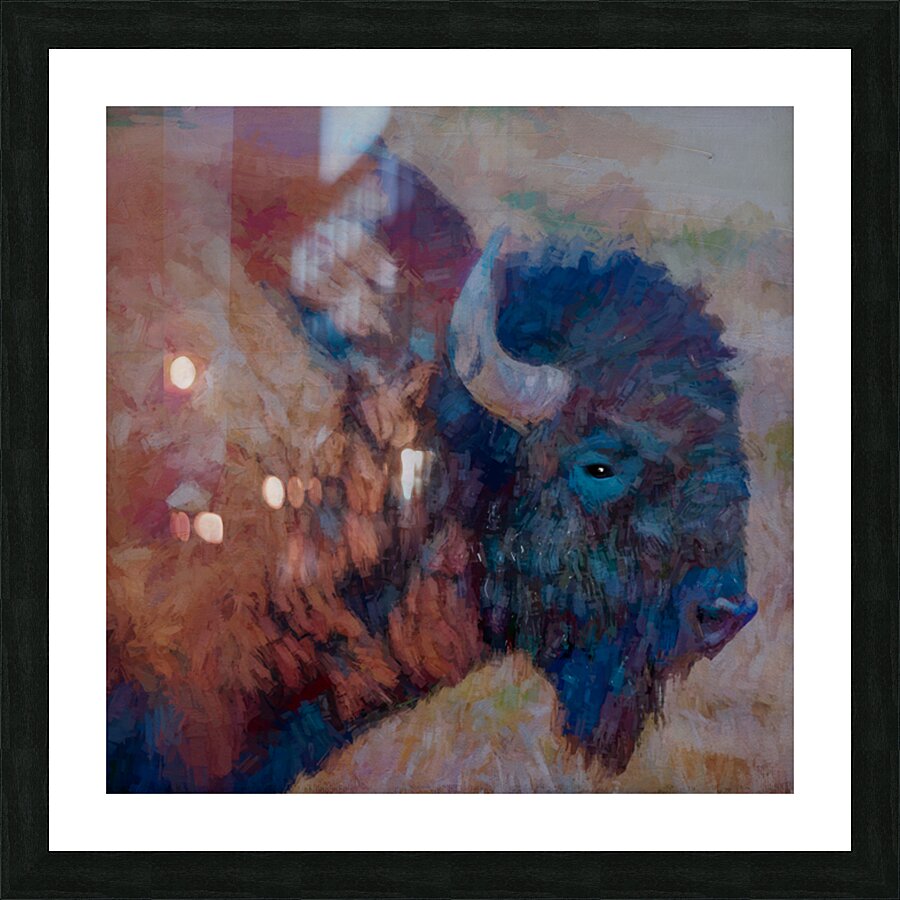 Blue Plains Bison Picture Frame Printing