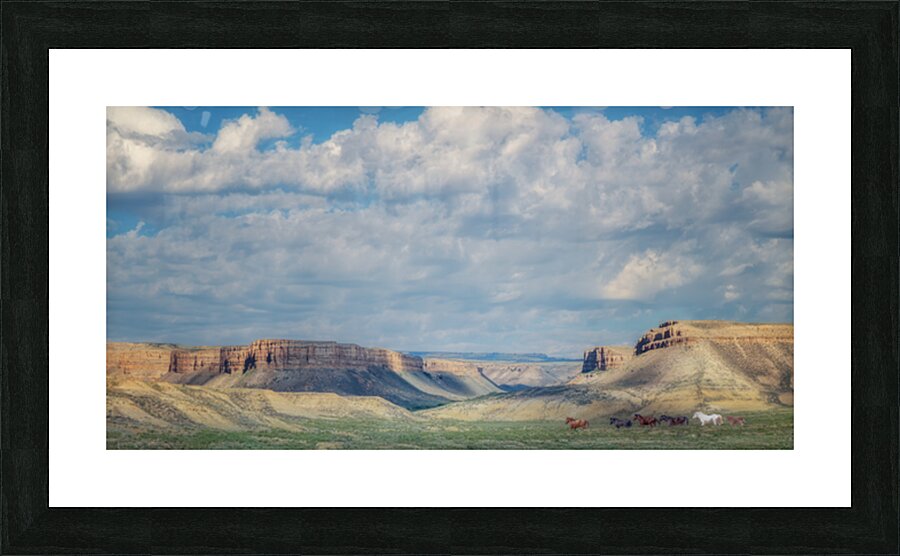 The Pond is Calling Picture Frame print