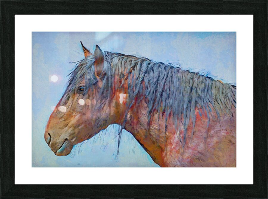 Mane Study Picture Frame print