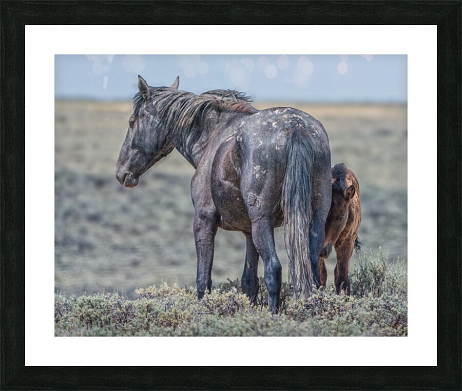 Untamed Bond Picture Frame print