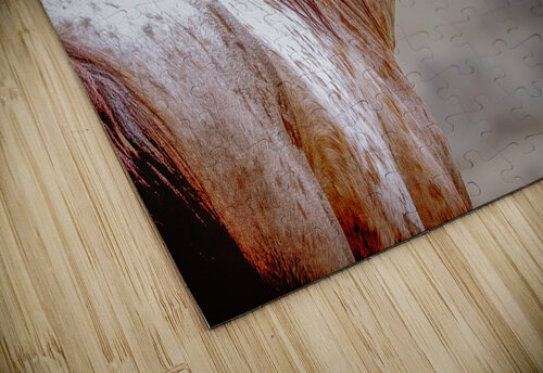 The Red Roan Susan Humphrey Art puzzle