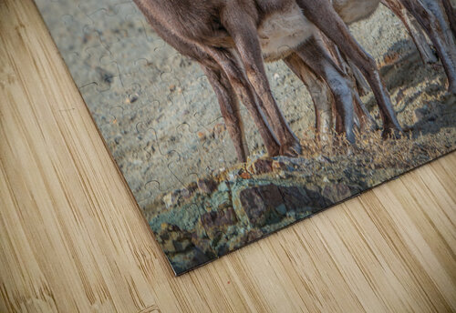 The Band Susan Humphrey Art puzzle