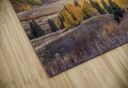 A Fall Afternoon Susan Humphrey Art puzzle