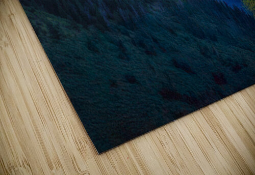 Through the Shadows  Susan Humphrey Art puzzle