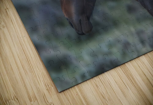 Amazingly Handsome Susan Humphrey Art puzzle