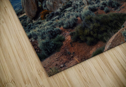 Desert Glow Susan Humphrey Art puzzle