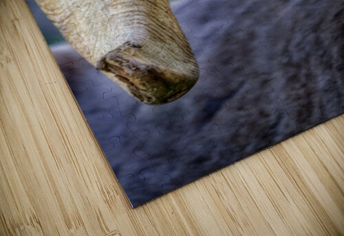 Desert Ram Susan Humphrey Art puzzle