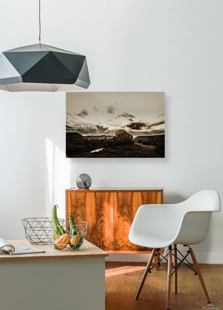 Silent Horizon Reproduction