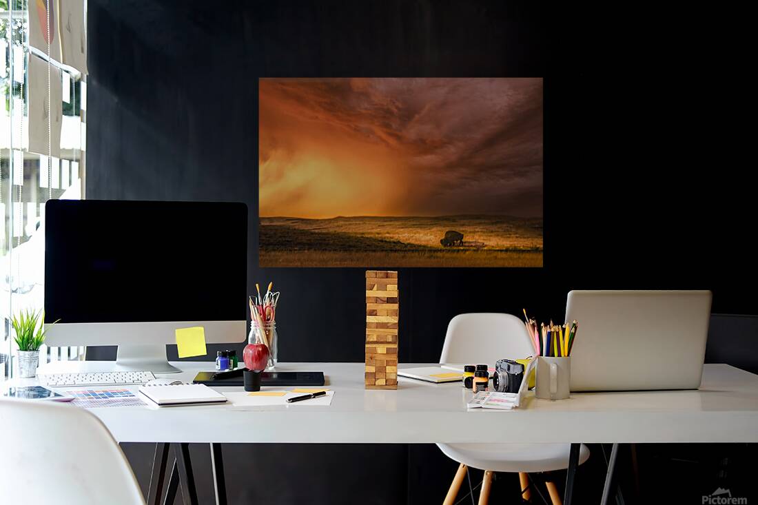 Big Sky Big Shadows Reproduction