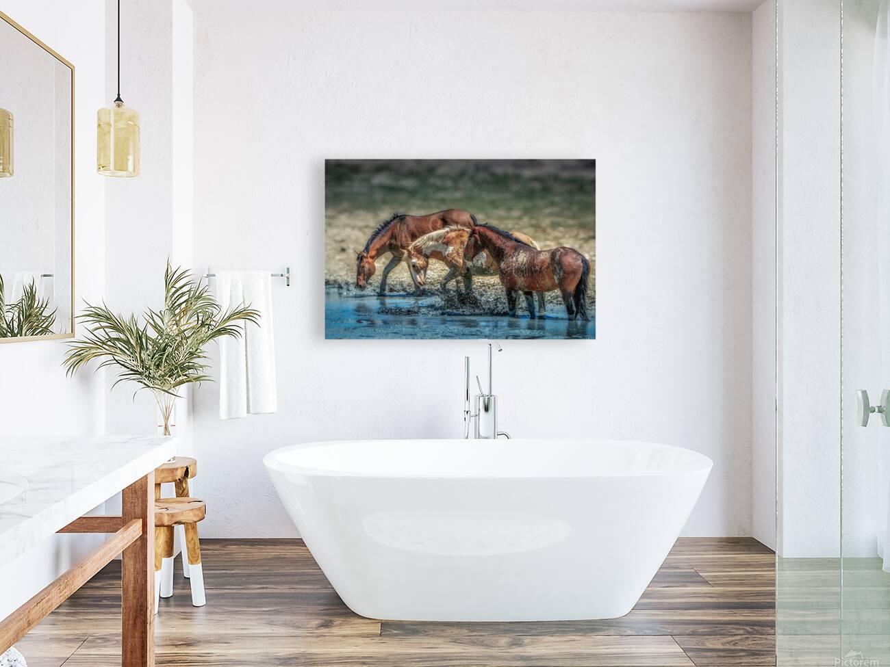Splash  Reproduction