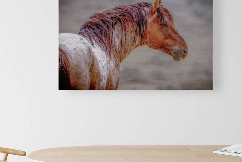 The Red Roan Reproduction