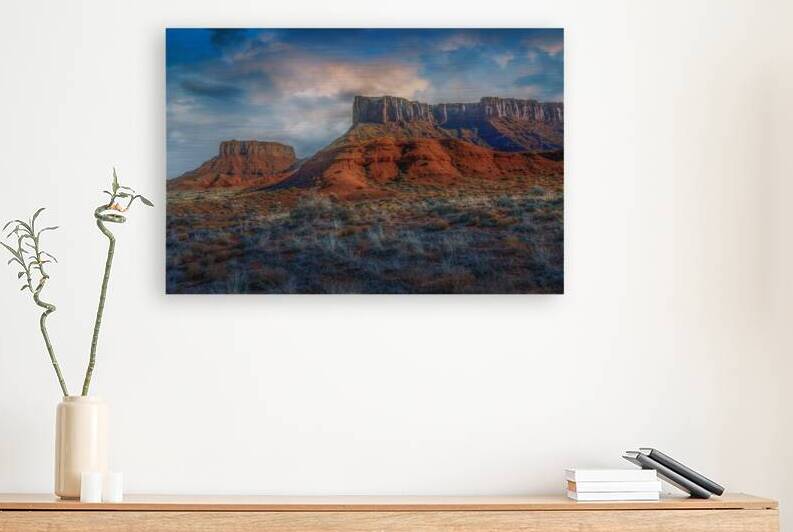 Desert Winter Reproduction