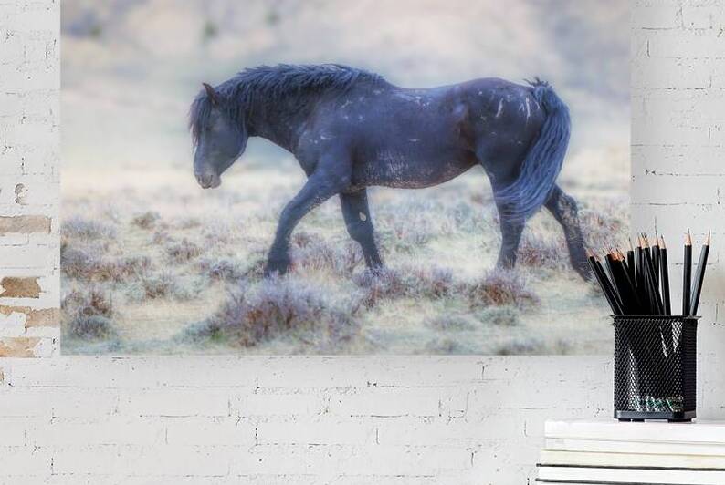A Stroll Reproduction