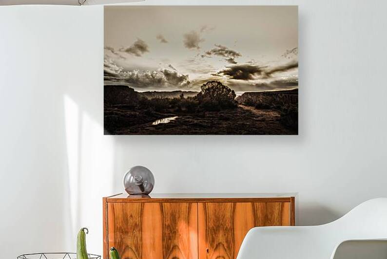 Silent Horizon by Susan Humphrey Art