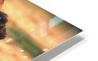 All Business HD Metal print