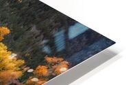 Reflections HD Metal print