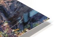 Old Man HD Metal print