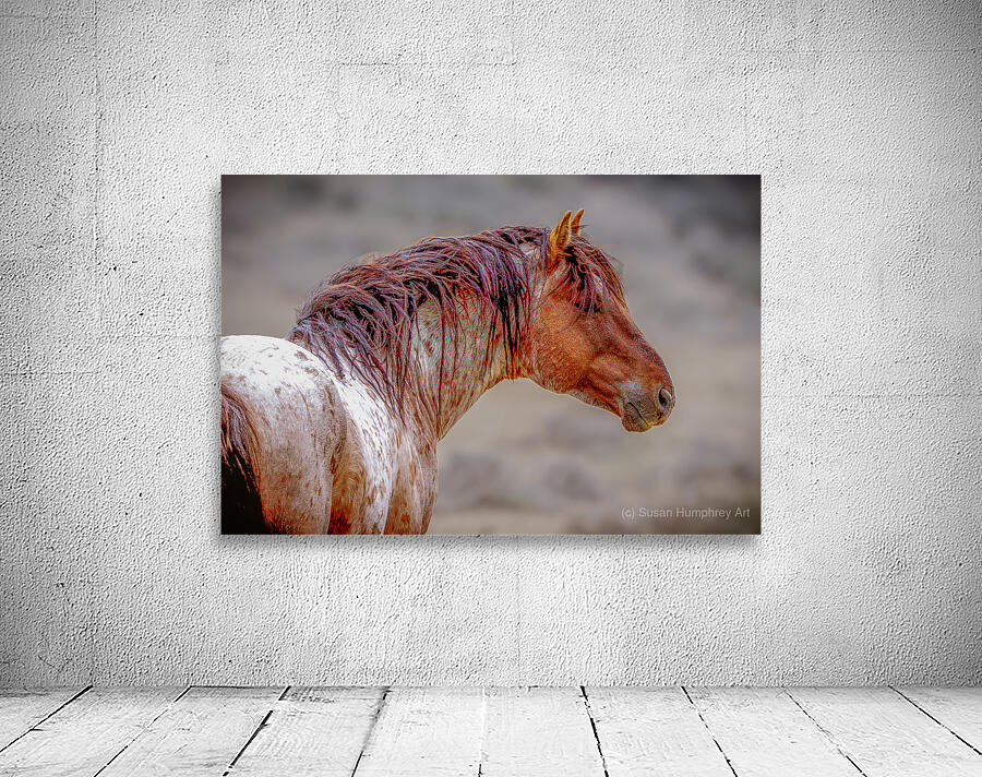 The Red Roan Wall Preview