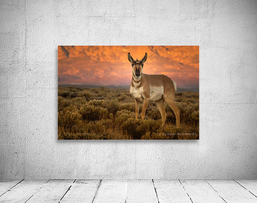 The Young Buck Wall Preview