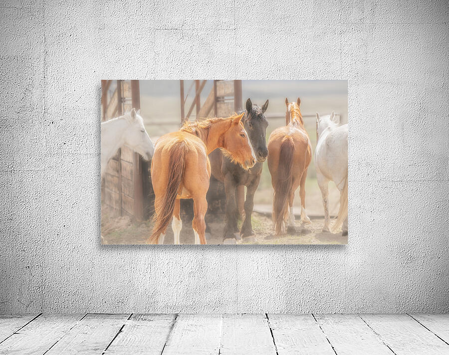 On The Ranch Wall Preview
