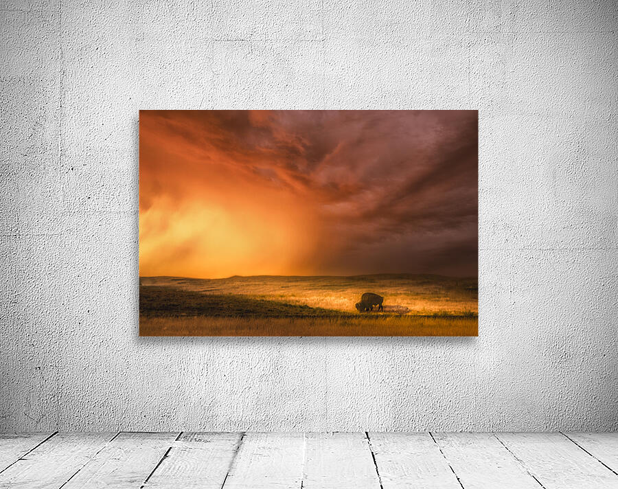 Big Sky Big Shadows Wall Preview