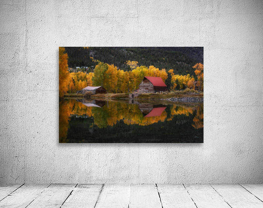 Reflections Wall Preview