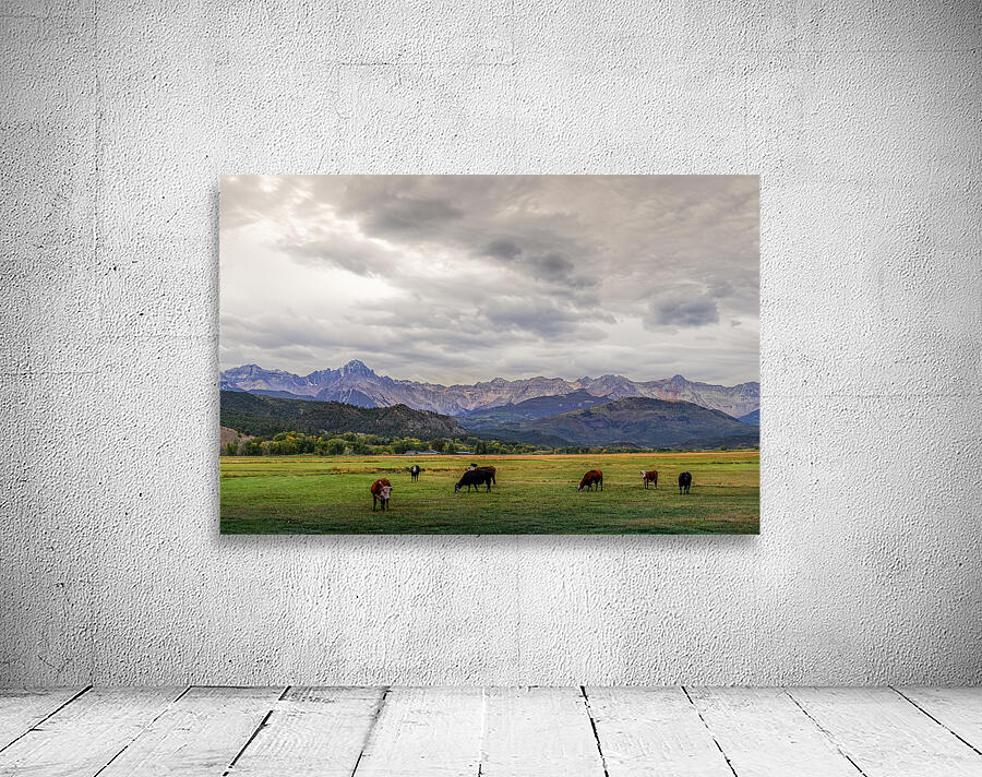 Mountain Meadow Wall Preview