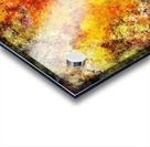 Blistering 2 Acrylic print