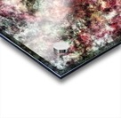 Phantom Acrylic print