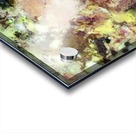 Sugar coated Acrylic print