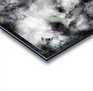 The believable Acrylic print