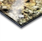 The formidable Acrylic print