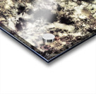 Only Acrylic print