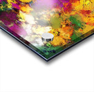 Looking for the impossible Acrylic print