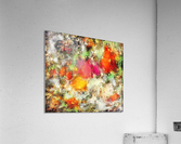 A narrow escape Acrylic Print