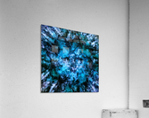 Blue burst Acrylic Print