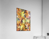 Brittle Acrylic Print