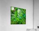 Cage Acrylic Print