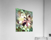 Choices Acrylic Print