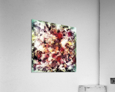Compression Acrylic Print